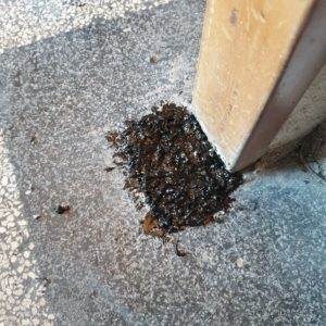 Repareren en herstellen van granito